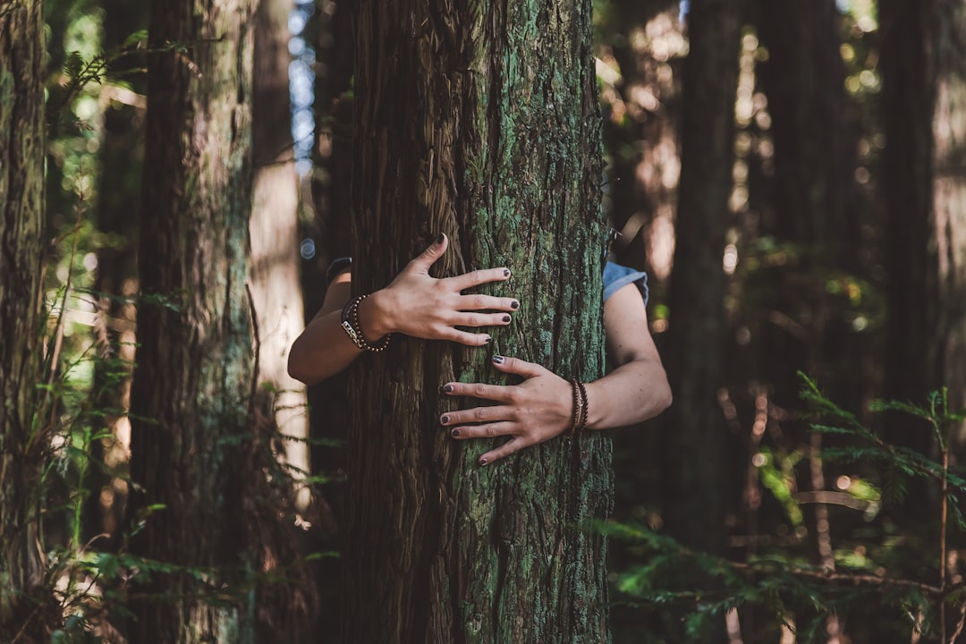 The Tale of the Tree-Hugging Princess